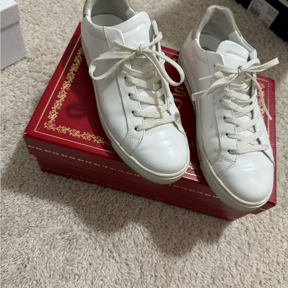 Rene caovilla sneakers